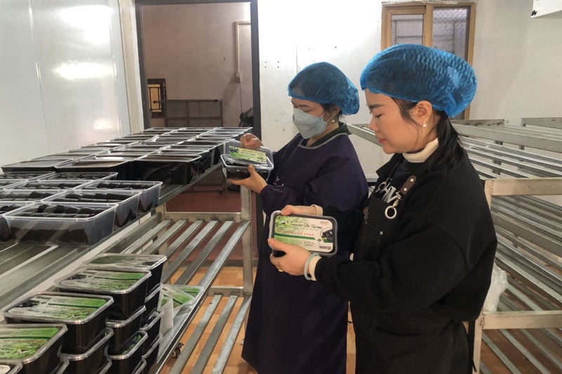 Ảnh: Báo Cao Bằng.