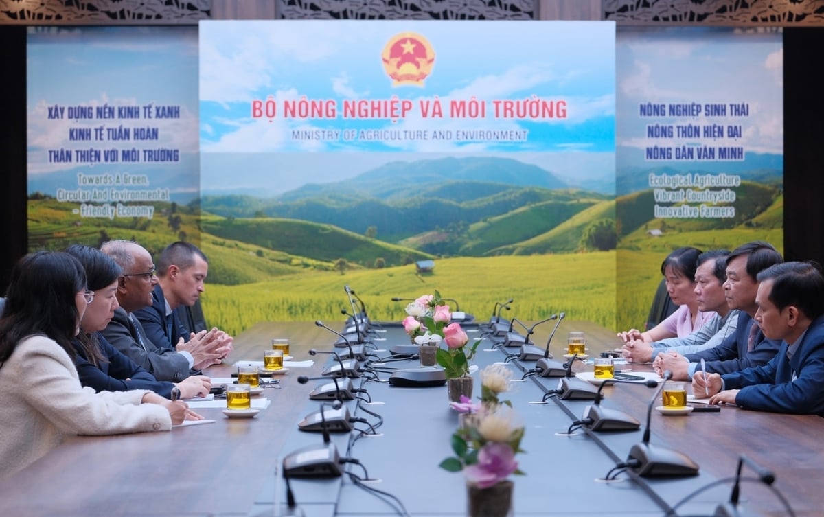 Cuộc họp giữa Thứ trưởng Nguyễn Hoàng Hiệp và Giám đốc Quốc gia ADB Việt Nam chiều 5/12. Ảnh: Diệp Anh.