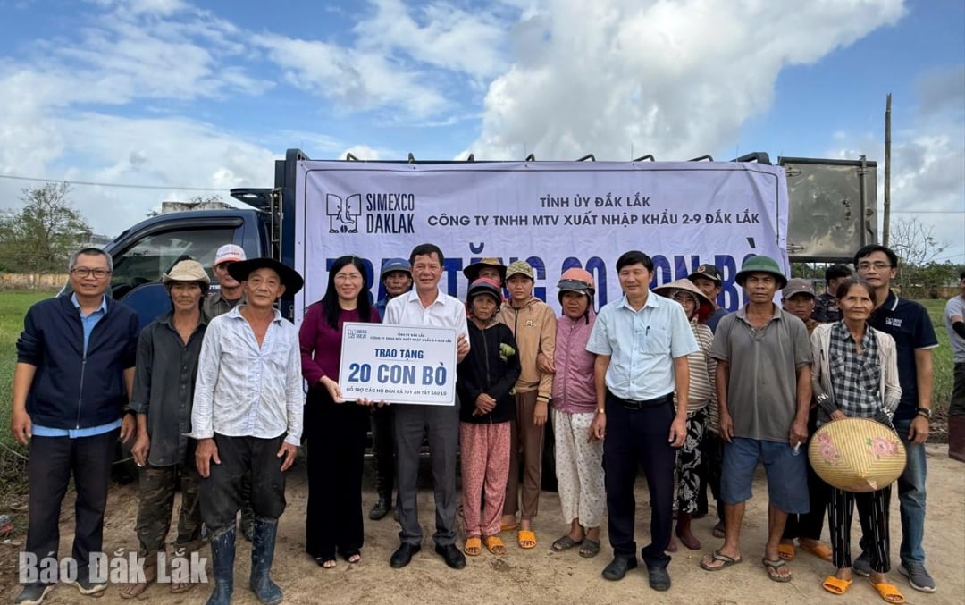 ថ្នាក់​ដឹក​នាំ​ក្រុមហ៊ុន​ធ្វើ​ជា​និមិត្ត​រូប​បង្ហាញ​គោ​ពូជ​ចំនួន​២០​ក្បាល​ដល់​ថ្នាក់​ដឹក​នាំ​ឃុំ Tuy An Tay។