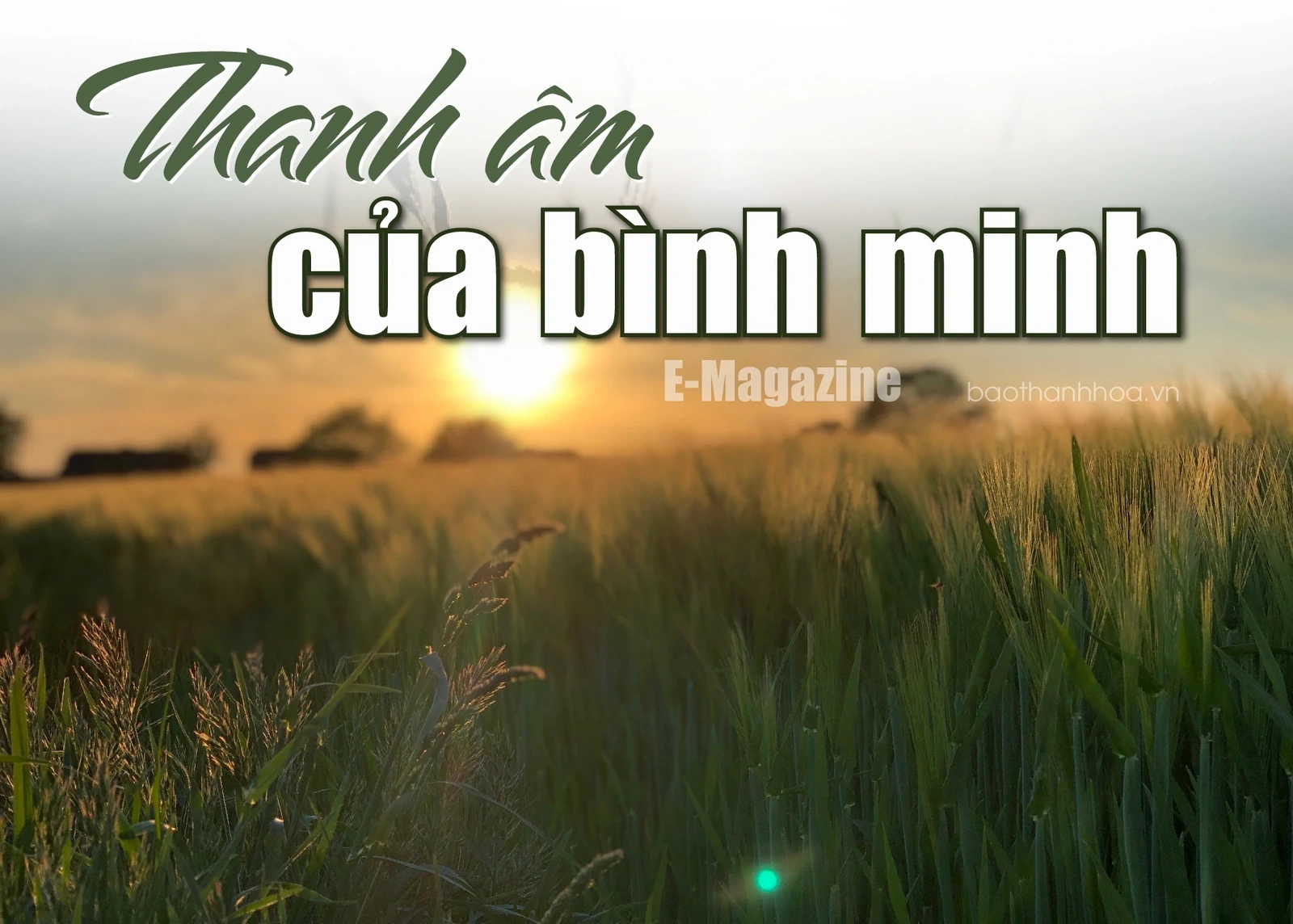 [E-tidning]: Gryningens ljud