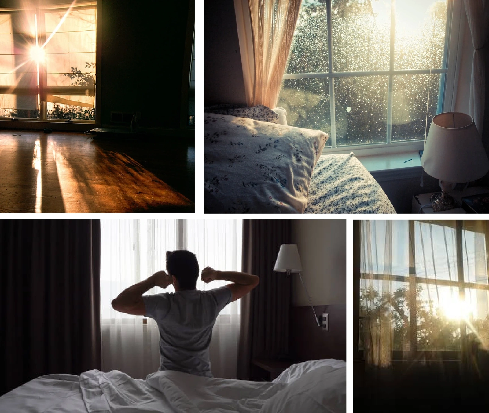 [E-tidning]: Gryningens ljud