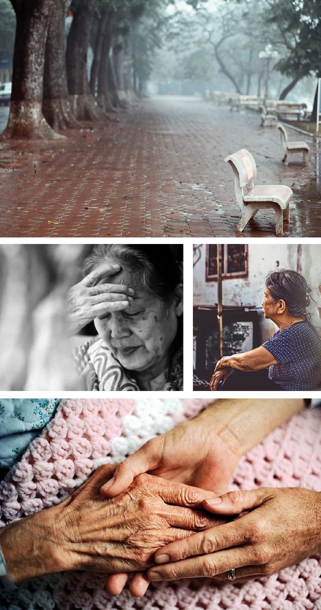 [E-tidning]: Gryningens ljud