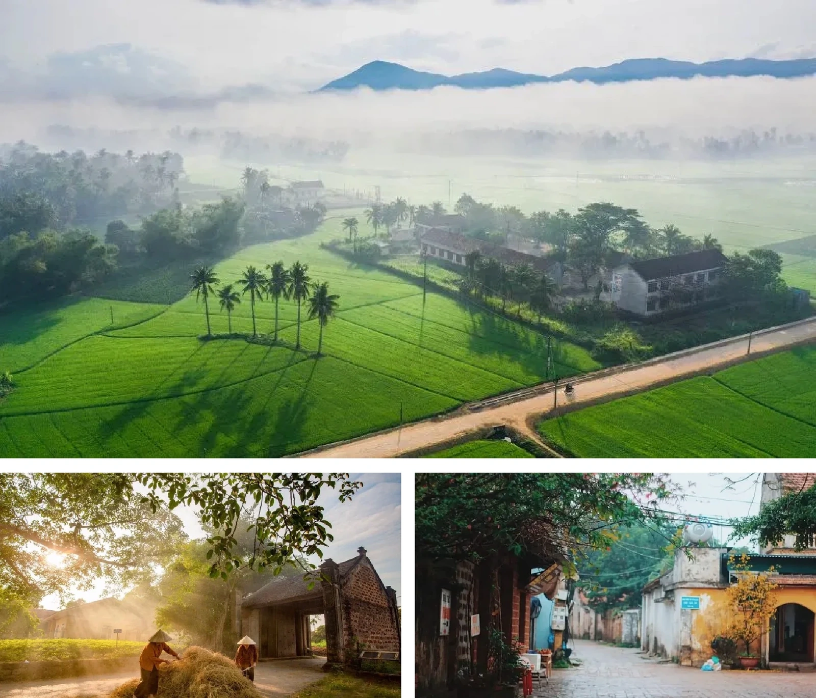 [E-tidning]: Gryningens ljud