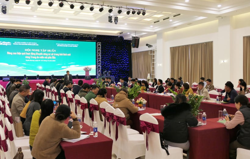 Toàn cảnh lớp tập huấn.