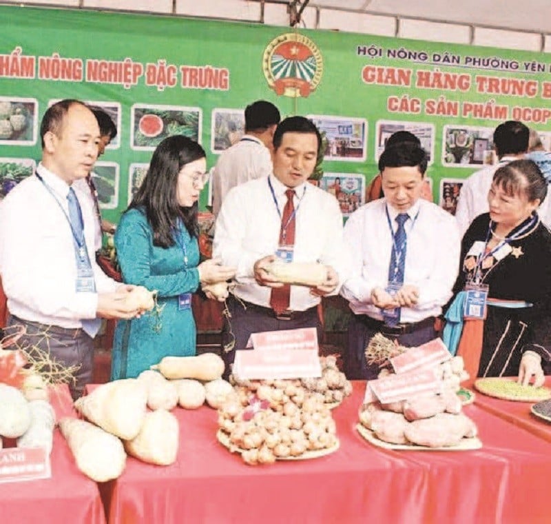 ថ្នាក់ដឹកនាំសមាគមកសិករខេត្ត បានអញ្ជើញទស្សនាស្តង់តាំងបង្ហាញផលិតផលកសិកម្ម។