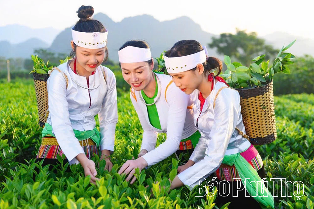 គន្លឹះក្នុងការកែលម្អស្ថានភាពផលិតផលកសិកម្ម