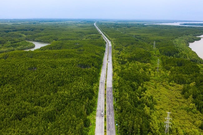 TOD trafik yönelimine göre yüksek hızlı demiryolu ile kentsel gelişim önerisi HCMC - Can Gio - Fotoğraf 1. Đề nghị phát triển đô thị theo định hướng giao thông TOD với đường sắt tốc độ cao TP HCM- Cần Giờ- Ảnh 1.