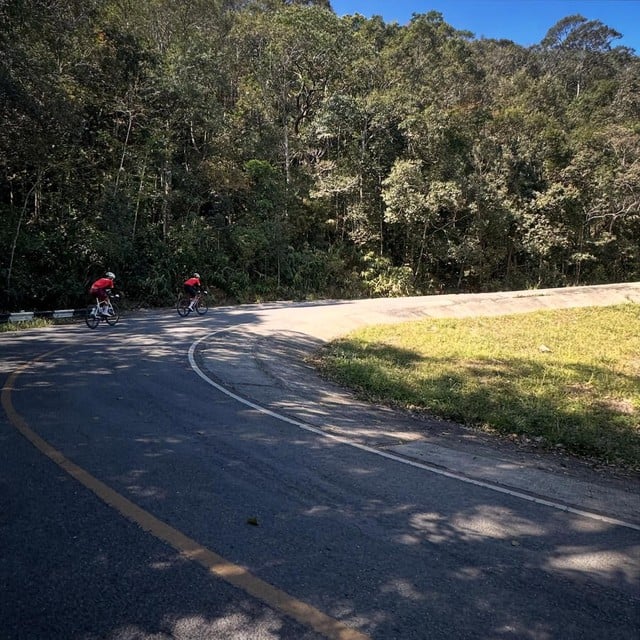 Voi rừng cản đường đội tuyển xe đạp Việt Nam tập luyện ở Thái Lan: SEA Games 33 nhiều chuyện ‘lạ’- Ảnh 1.