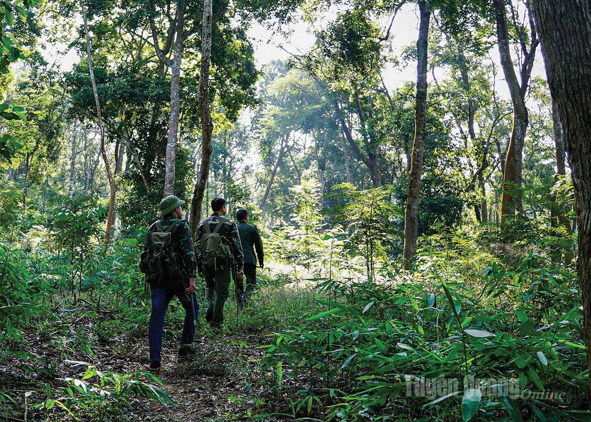 In Tan Trao finden regelmäßig Waldpatrouillen statt.