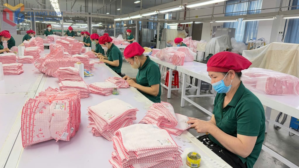 Сотрудники, работающие в компании Dai Dong Vietnam Company Limited.