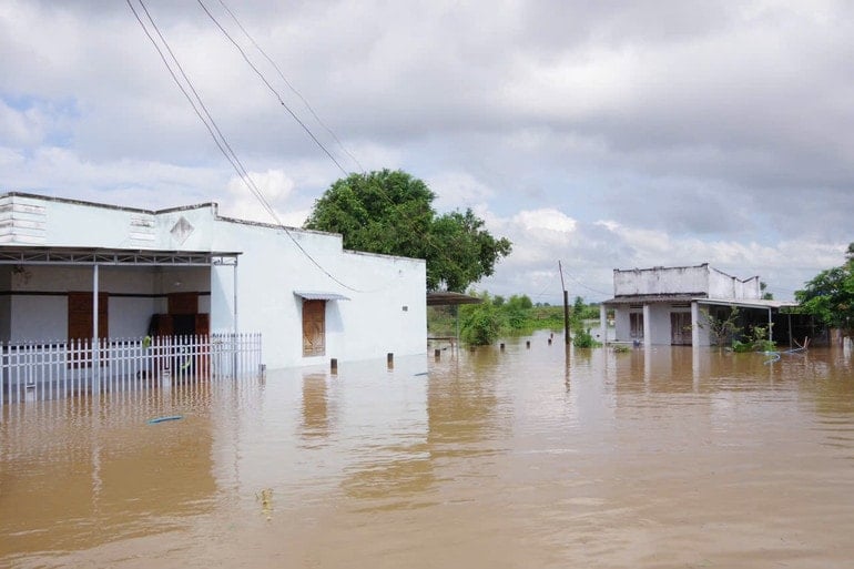 ផ្ទះជាច្រើនខ្នងក្នុងសង្កាត់ហមថាំង ត្រូវទឹកជន់លិចយ៉ាងខ្លាំង។ 3173024830692739260.jpg