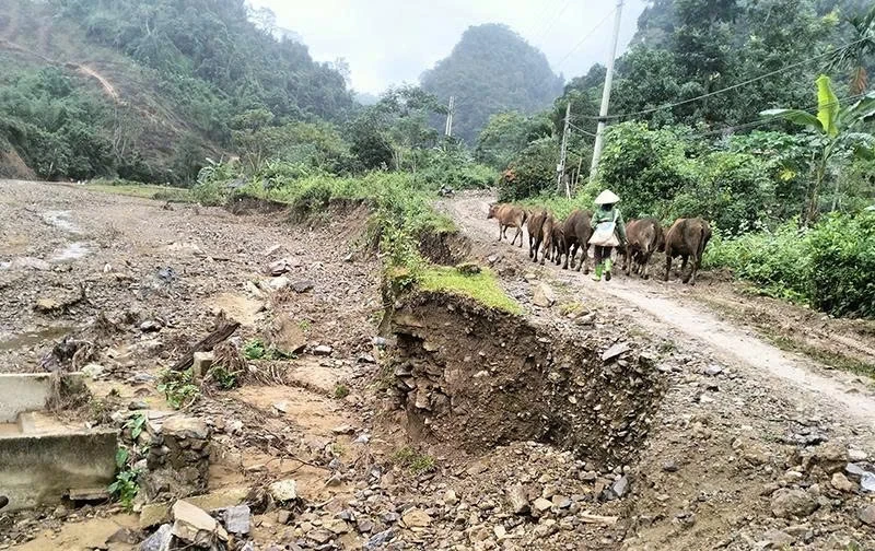 ទស្សនាភូមិរុង