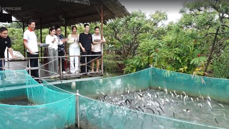 ນັກທ່ອງທ່ຽວມ່ວນຊື່ນຊົມ “ປາງູບິນ” ຢູ່ໝູ່ບ້ານທ່ອງທ່ຽວຊຸມຊົນເມືອງ ໂກນເຊີນ.