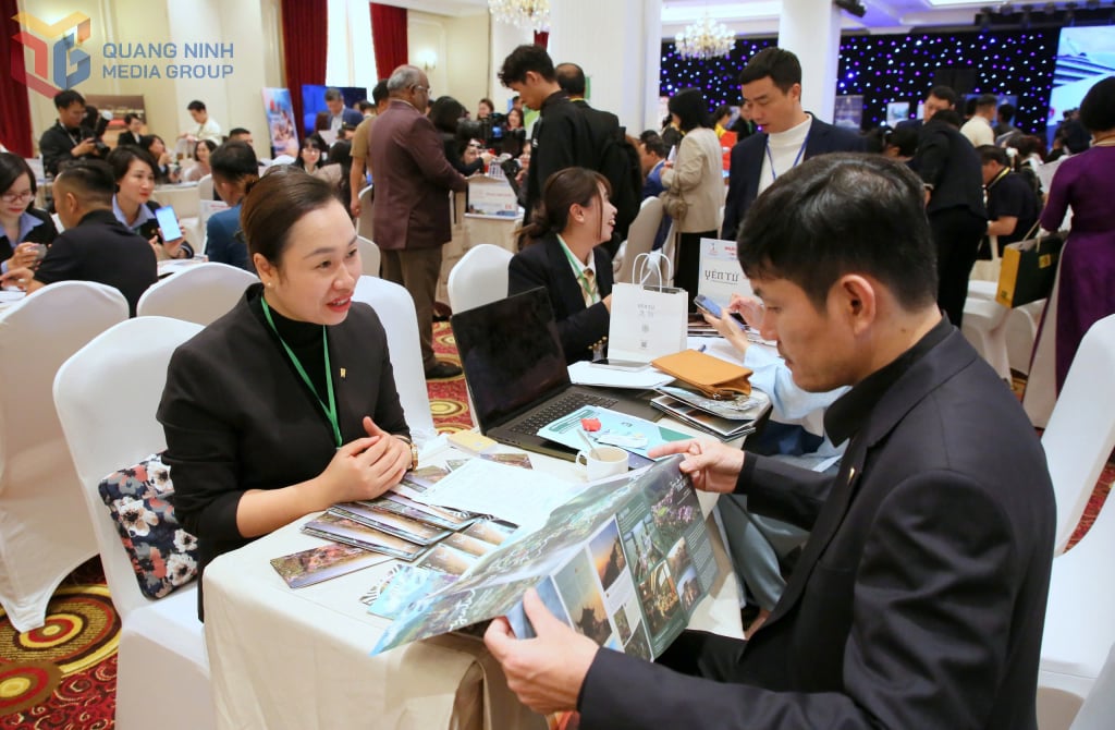 עסקי התיירות של קוואנג נין מתחברים לשותפים באמצעות תוכנית