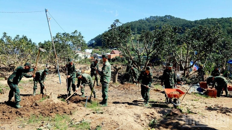 Офіцери та солдати 5-ї дивізії 7-го військового округу прибрали місце події, зібрали матеріали та техніку для підготовки до будівництва нових будинків для сімей у комуні Д'Ран. ndo_br_4.jpg