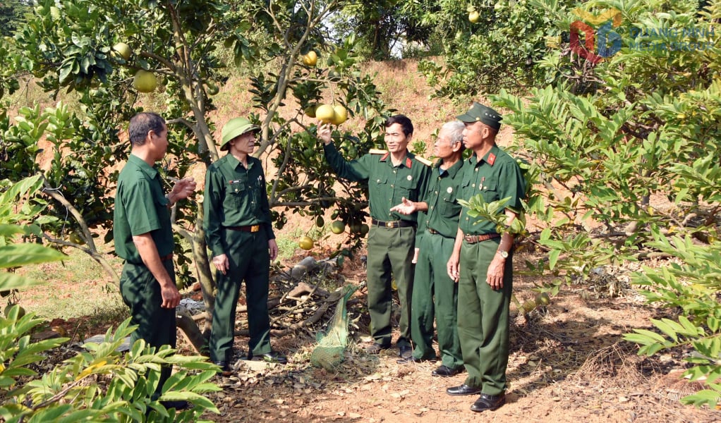 En Sinh Ward Veterans Association hjälper varandra att utveckla modeller för citrusodling för medlemmarna.