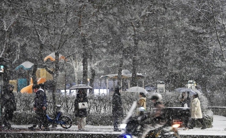 Gyeonggi Eyaletine bağlı Suwon'da bir sokak köşesi mevsimin ilk beyaz karıyla kaplandı.