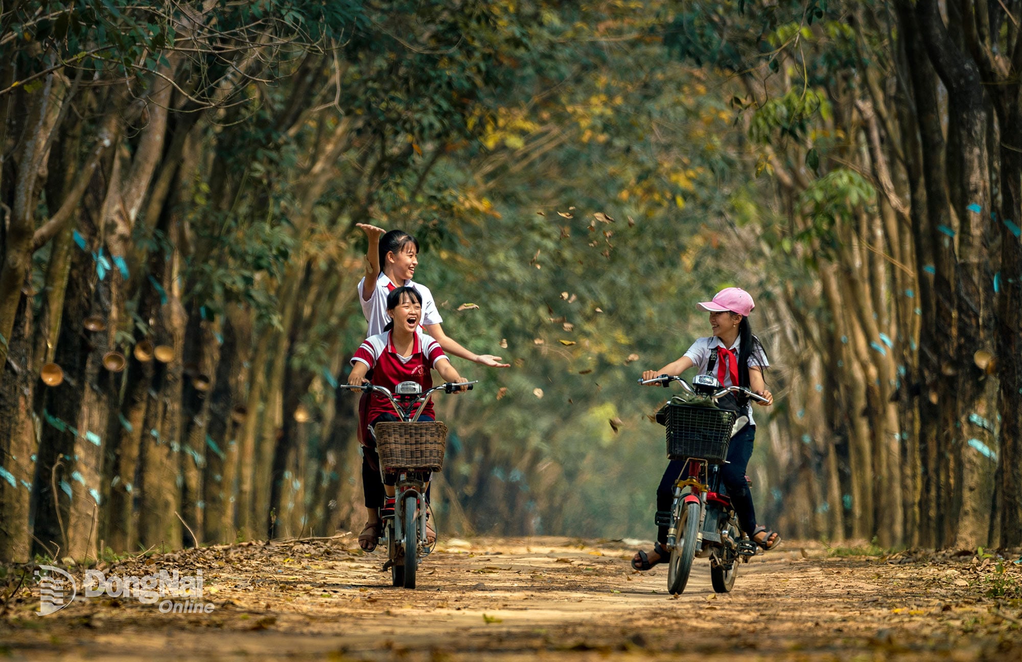 Innocent Childhood - Werk van Khanh Phan, genomen in het rubberbos van Dong Nai.