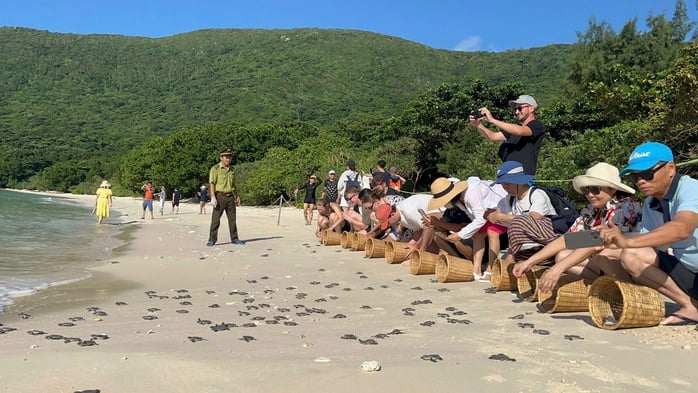 Thành lập Hạt Kiểm lâm rừng đặc dụng Vườn quốc gia Côn Đảo - Ảnh 2.