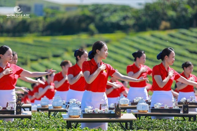 สนทนาเรื่องวัฒนธรรมและการทูตชา - ภาพที่ 6 Bàn về văn hóa, ngoại giao trà- Ảnh 6.