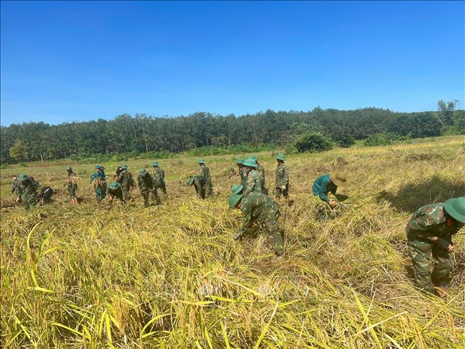 Подпись к фотографии