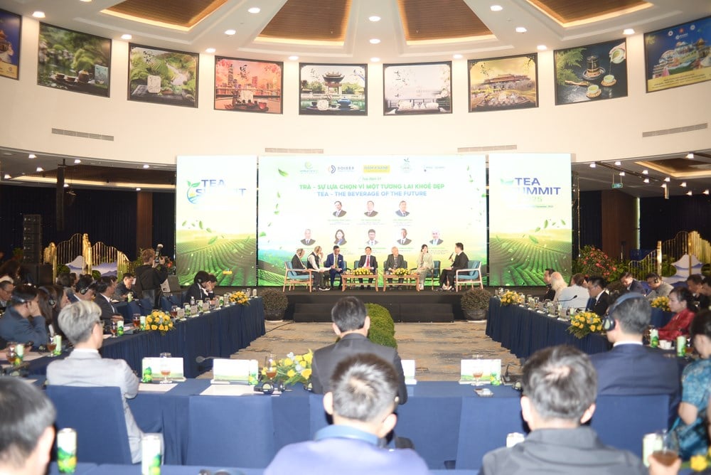 ເປີດທິດພັດທະນາໃໝ່ໃຫ້ແກ່ຂະແໜງການຊາຫວຽດນາມ - ຮູບ 1