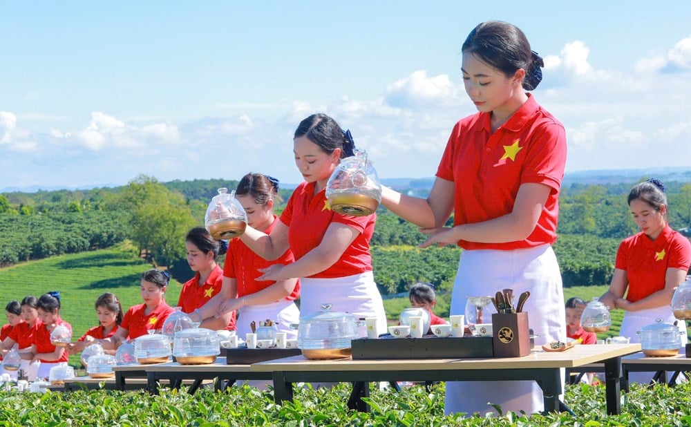 ເປີດທິດພັດທະນາໃໝ່ໃຫ້ແກ່ຂະແໜງການຊາຫວຽດນາມ - ຮູບທີ 4