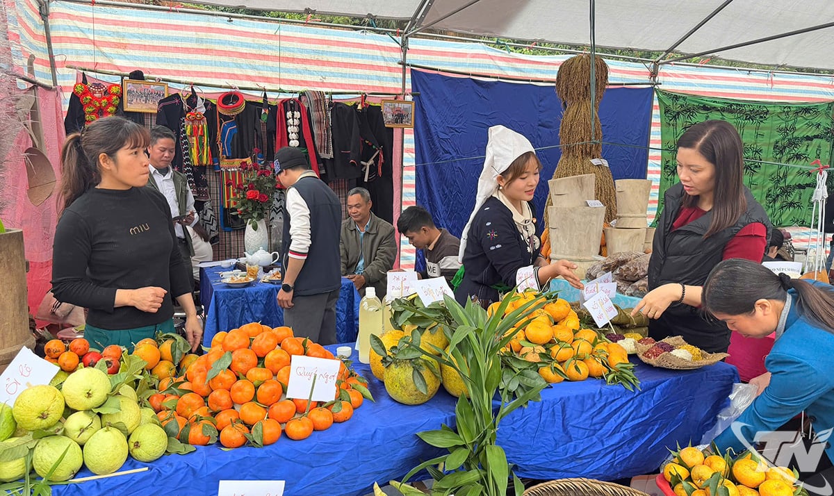 An agricultural stall on display at the Festival.