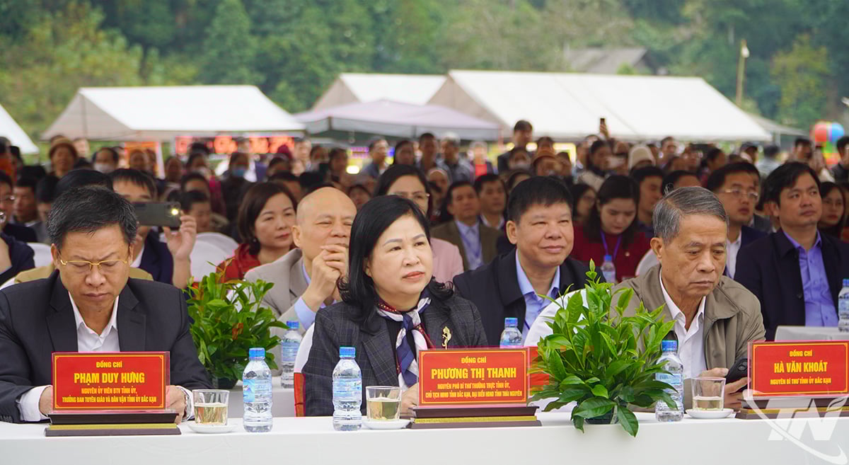Delegates attending the Festival.