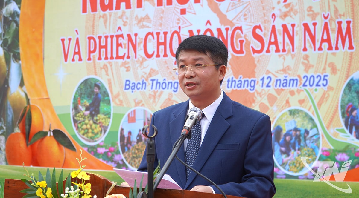 Comrade Nong Quang Nhat, Vice Chairman of the Provincial People's Committee spoke at the Festival.
