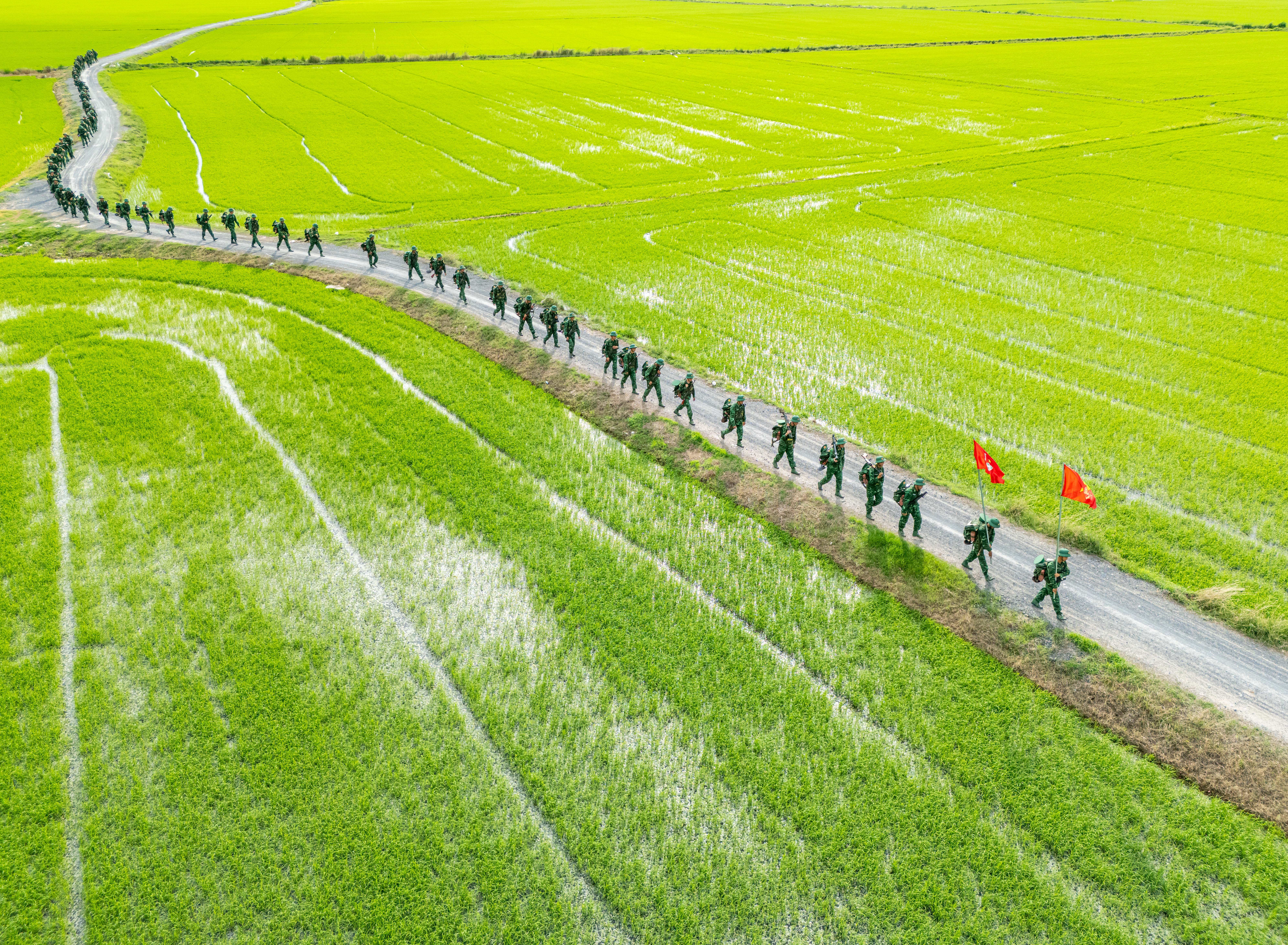 7. (KK-díj) Ho bácsi nyomdokaiban menetelve - Nguyễn Hoang Trong.jpeg