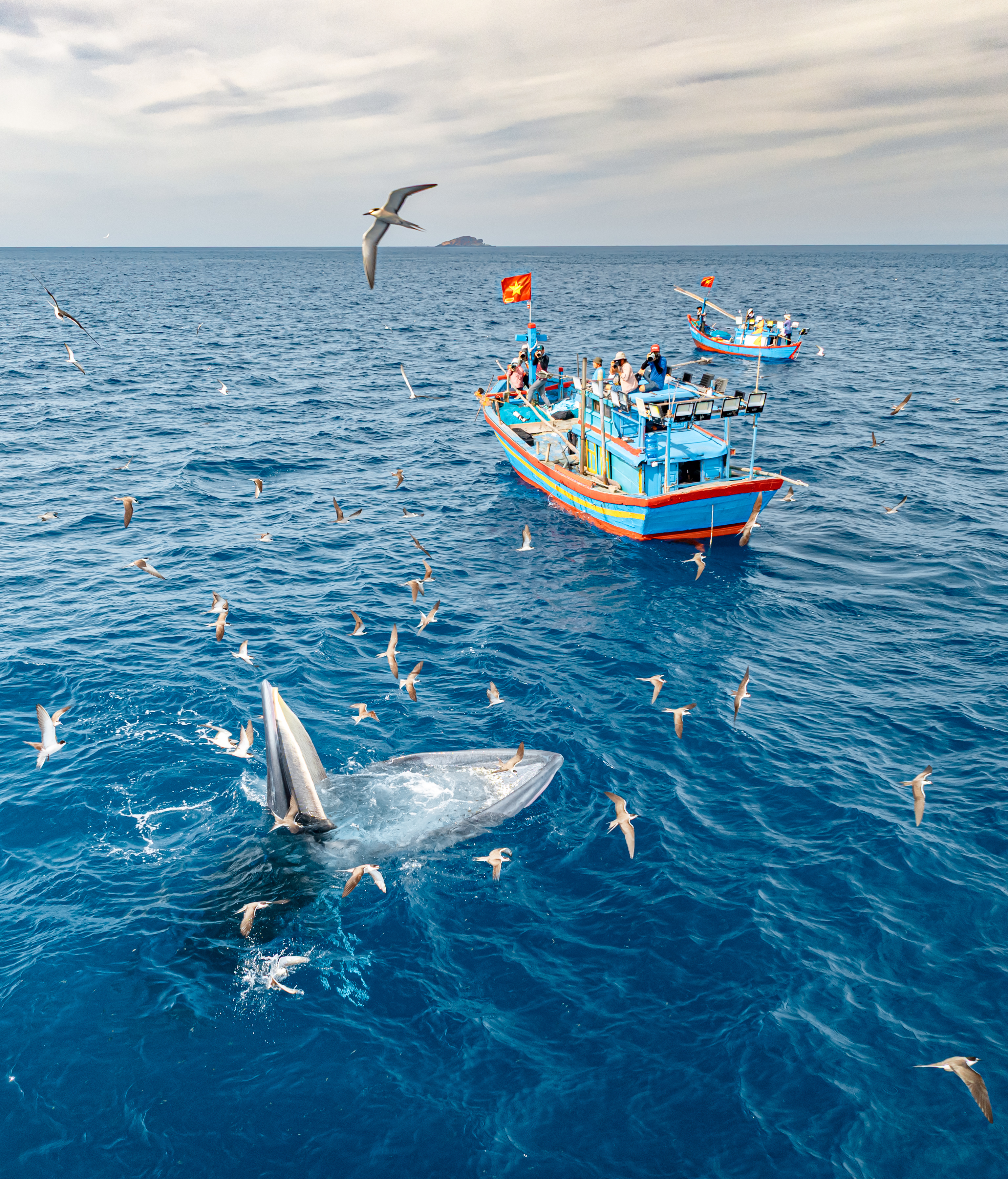 13. (KK-díj) Bálnafotózás - Pham Cong Quy (1).jpeg