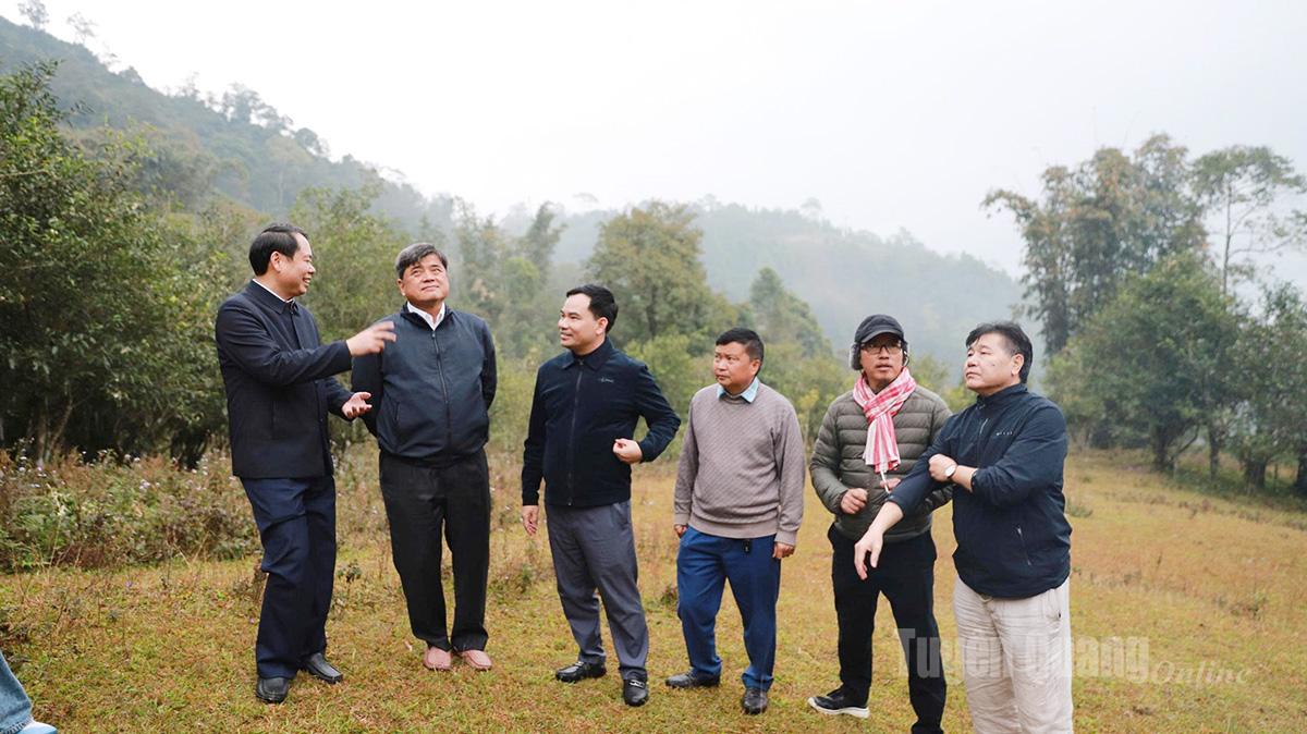 Kumpulan kerja Kementerian Pertanian dan Alam Sekitar meninjau hutan teh kuno Shan Tuyet di komune Ho Thau.