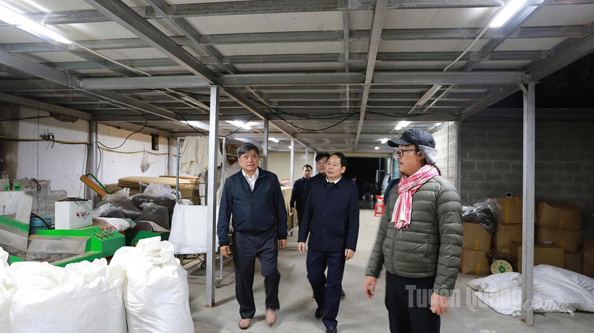 Delegasi kerja Kementerian Pertanian dan Alam Sekitar melawat Koperasi Teh Ho Thau di kampung Tan Phong, komune Ho Thau.