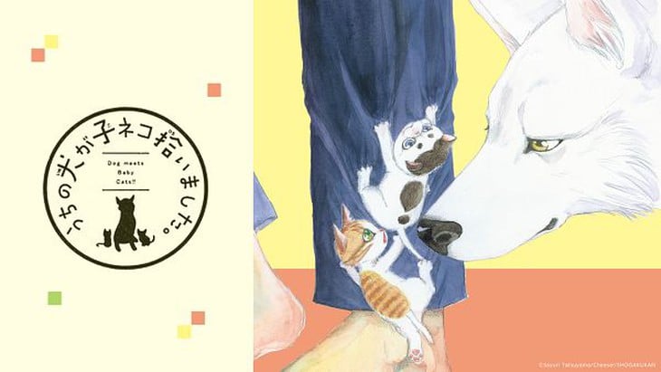 Dan Da Dan - Ảnh 3.