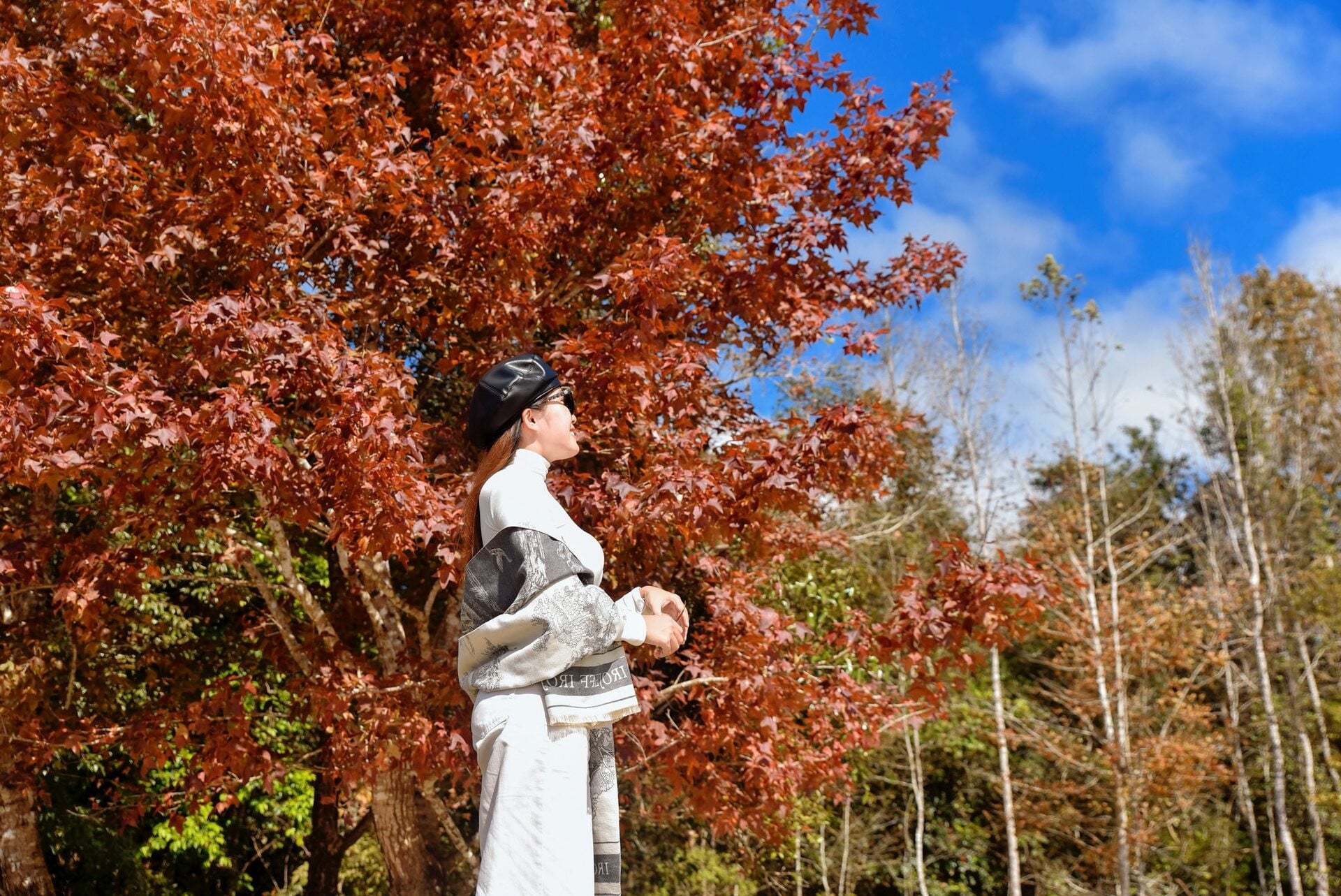 Phong Huong skogturisme Quang Tri