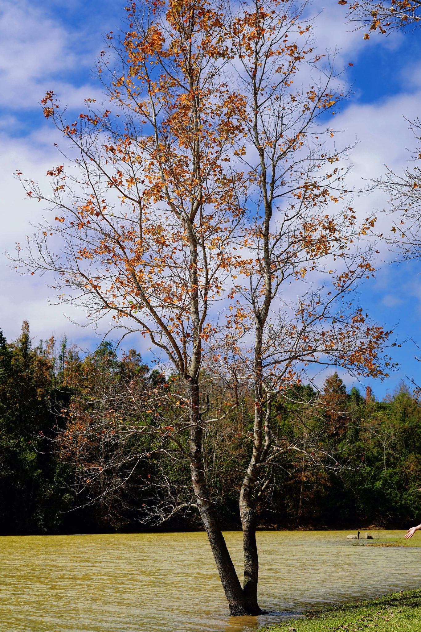 Phong Huong skogturisme Quang Tri