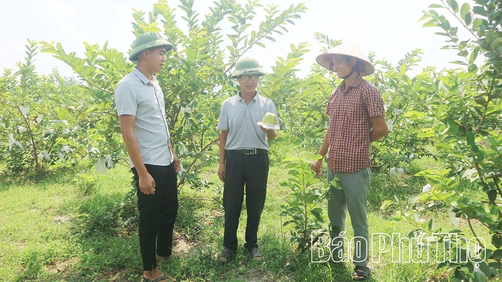 Tu Vu sprider emuleringsrörelsen för att utveckla ekonomin