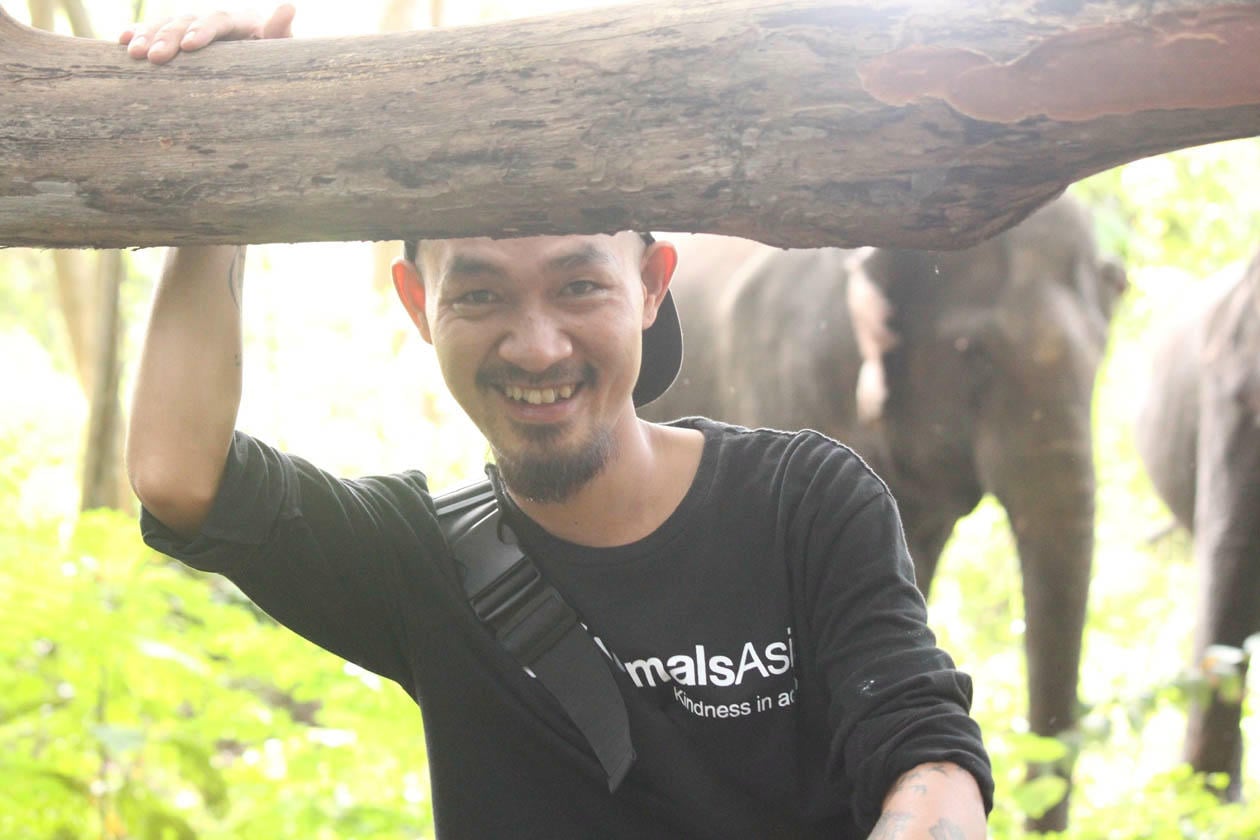 ผู้ดูแลช้างในป่ายกดอน