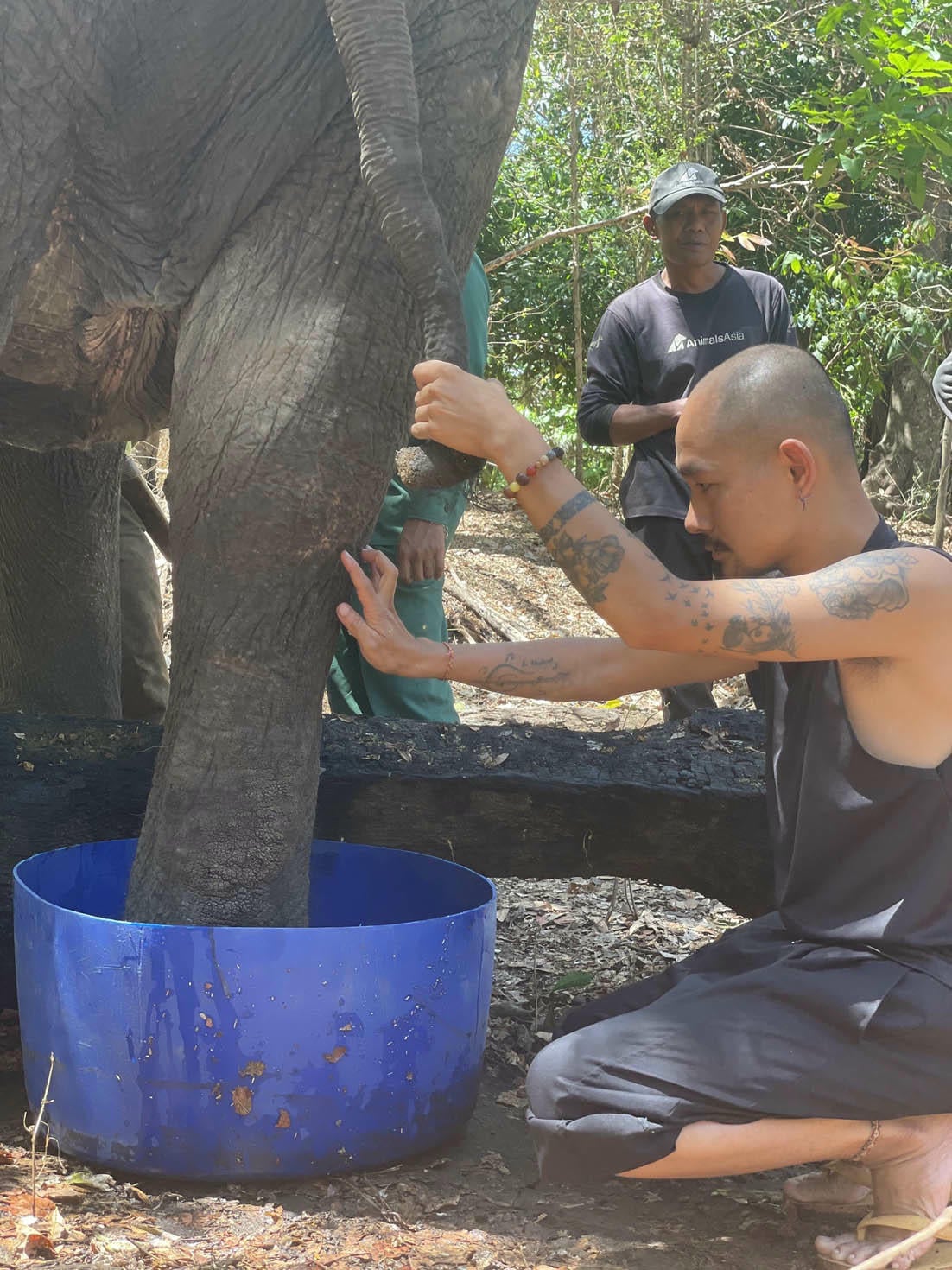 ผู้ดูแลช้างในป่ายกดอน