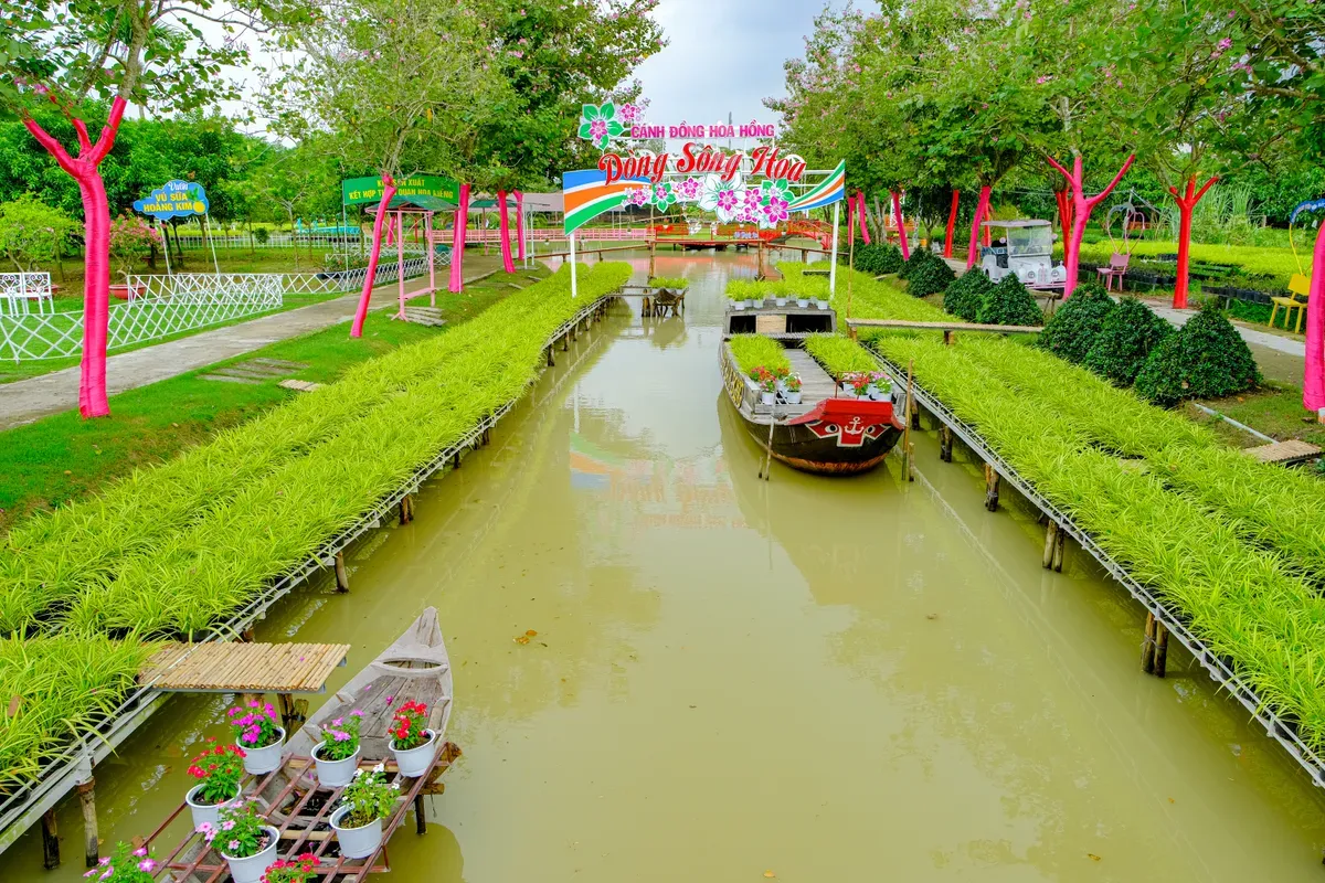 Hơn 1.000 giống hoa sẽ được trưng bày tại Festival Hoa - Kiểng Sa Đéc lần 2- Ảnh 2.