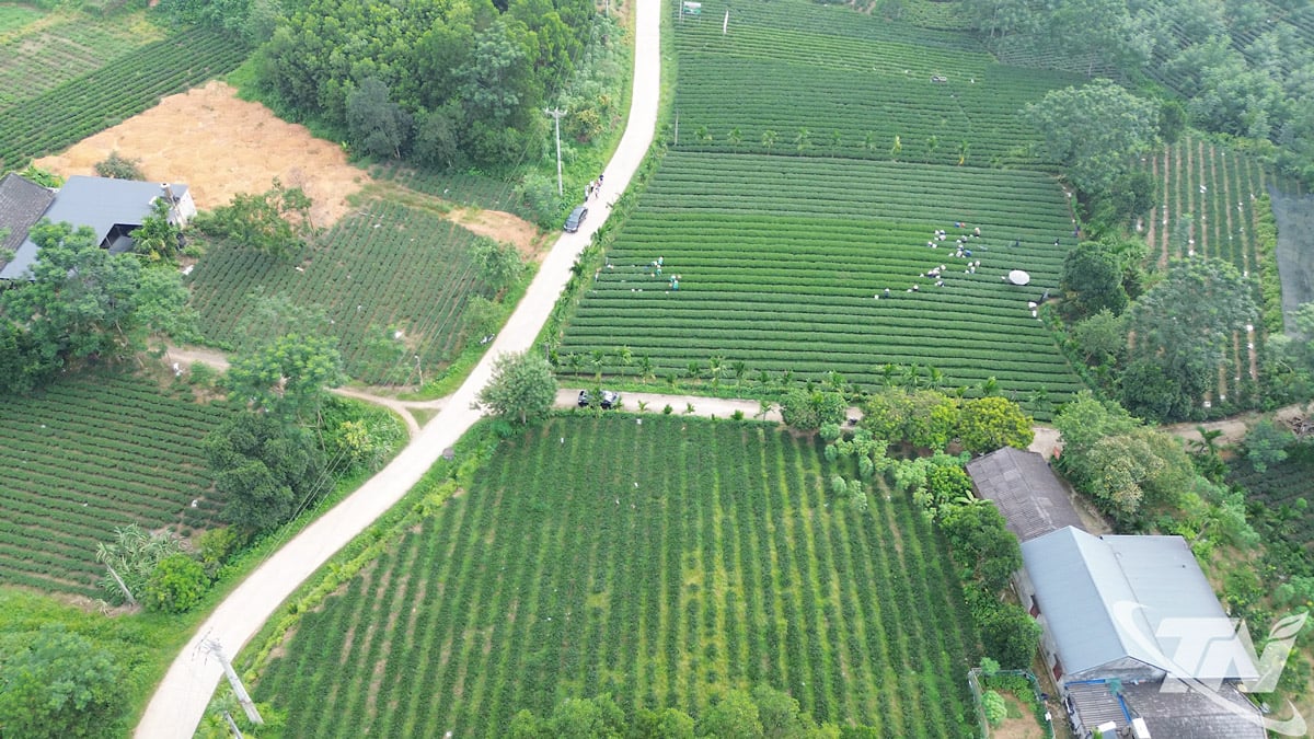 वो त्रान्ह कम्यून का एक कोना.