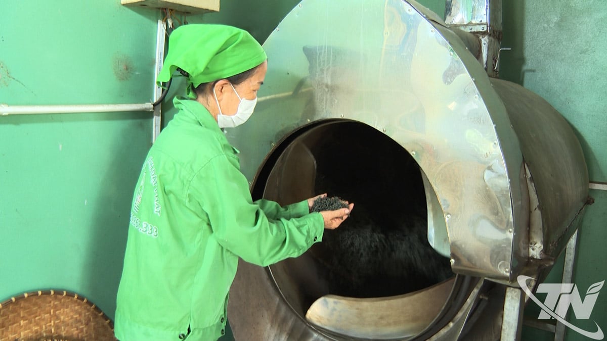 उत्पादन सुविधाएं चाय प्रसंस्करण में विज्ञान और प्रौद्योगिकी के अनुप्रयोग तथा उत्पाद की गुणवत्ता में सुधार पर केंद्रित हैं।