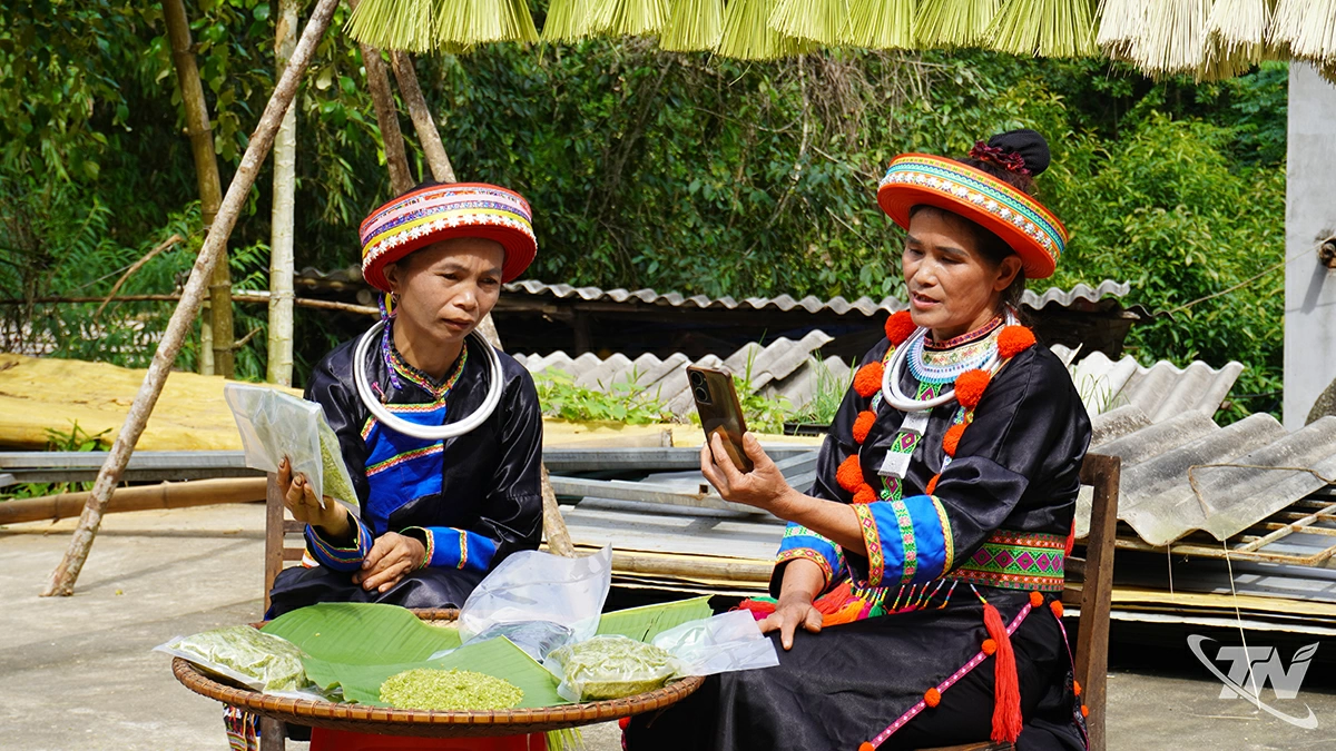 Thuy Dien köyü (Phu Thong komünü) halkı, ailelerinin yeşil pirinç ürünlerini tanıtmak için canlı yayın yapıyor.