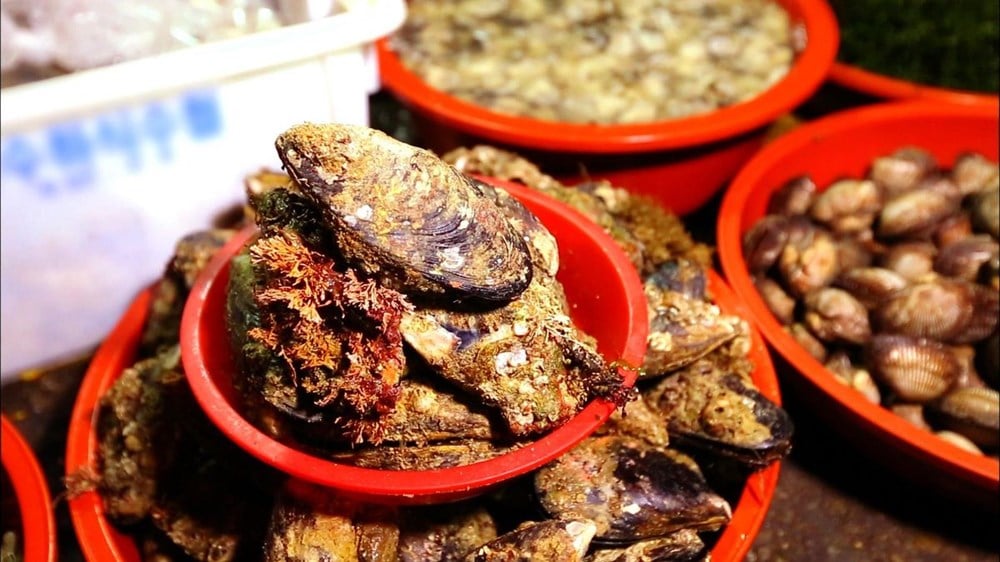 Γιατί τα χειμερινά θαλασσινά στην Κορέα γοητεύουν τους τουρίστες; - φωτογραφία 2