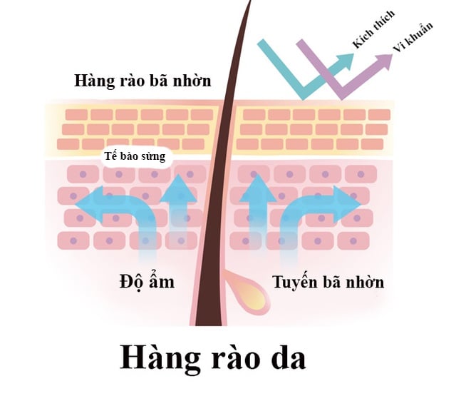 ঠান্ডা, শুষ্ক আবহাওয়ায় অ্যাটোপিক ডার্মাটাইটিস আরও খারাপ হয় - ছবি ১। Bệnh viêm da cơ địa tăng nặng khi thời tiết lạnh, khô- Ảnh 1.