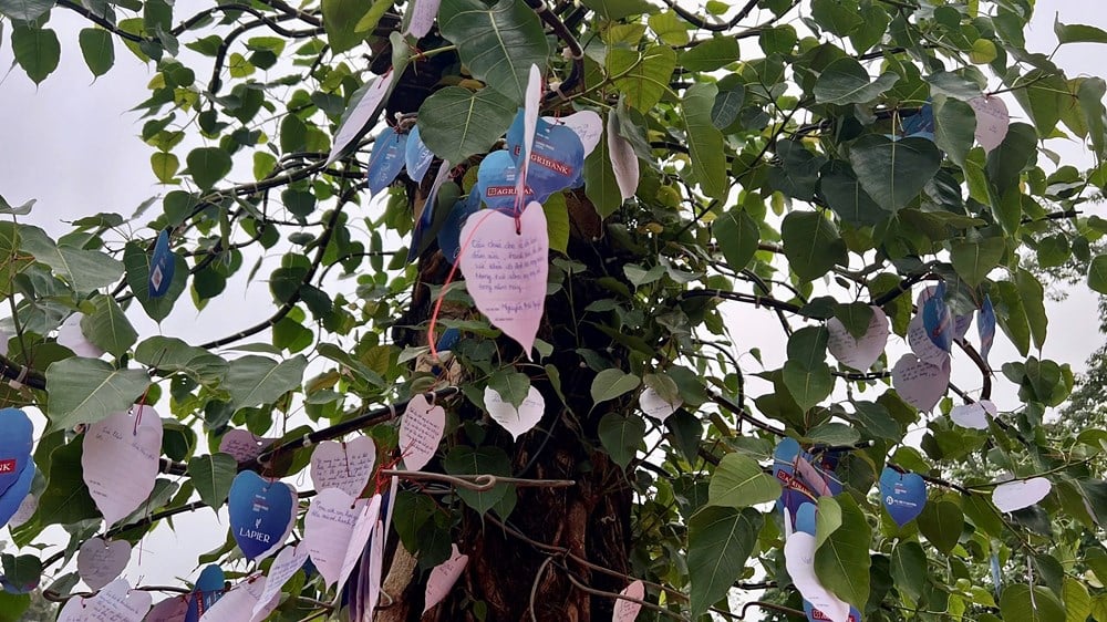 ប្រជាជនរំភើបរីករាយទទួលបានបទពិសោធន៍សកម្មភាពនានាក្នុងកម្មវិធី “បុណ្យវៀតណាមរីករាយ” - រូបថត ៧