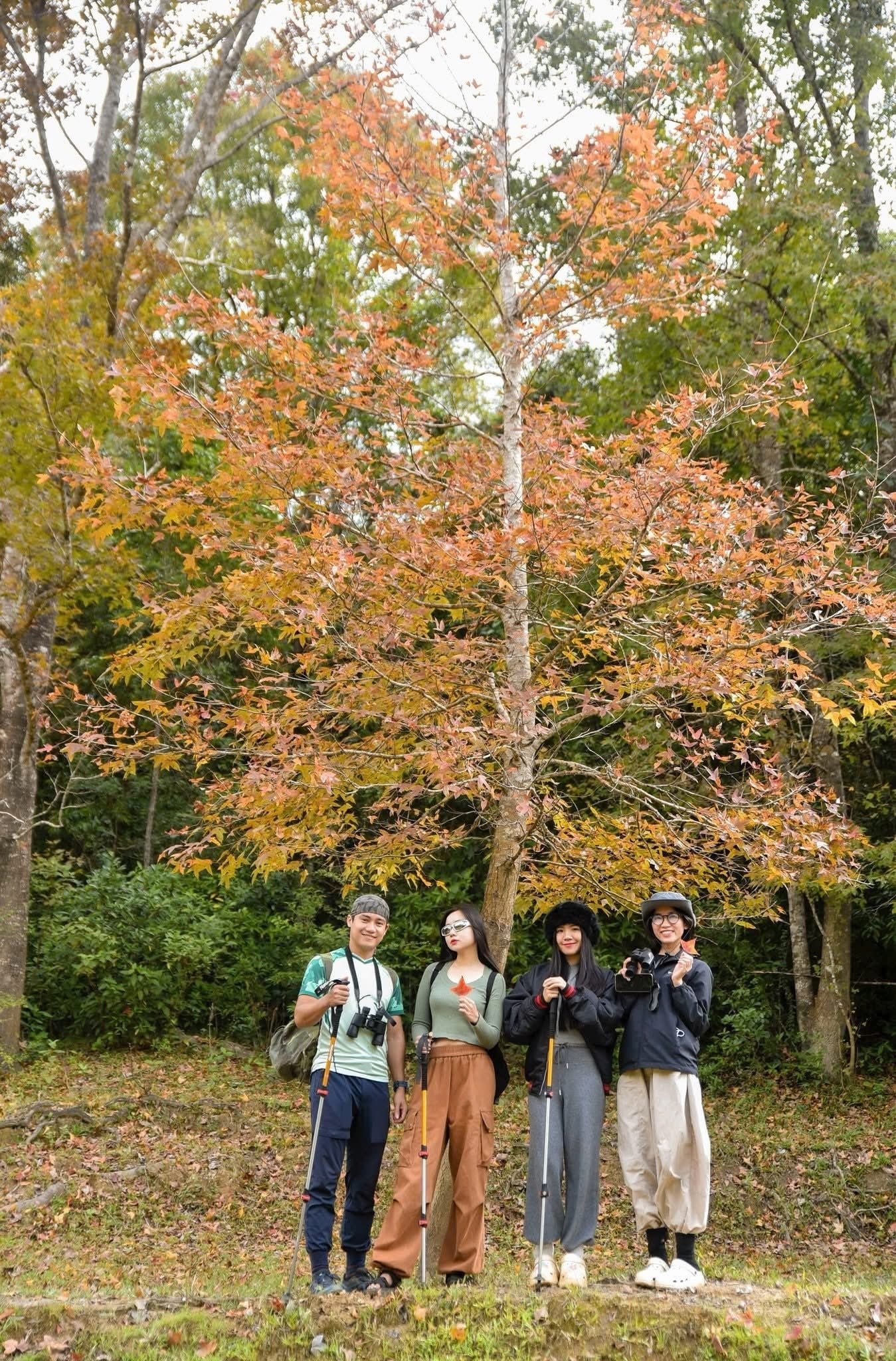 Tourists come to hike through the forest and camp. Photo: Lanh Lanh