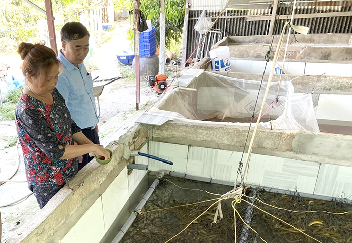 Diversificar os meios de subsistência, criar empregos, aumentar a renda das pessoas.