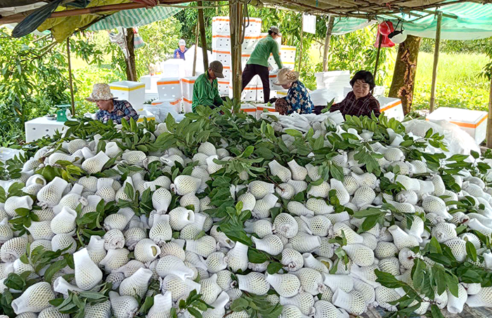 Sprijinirea membrilor fermierilor în dezvoltarea economiei familiale